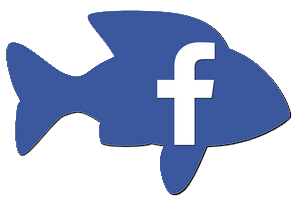 logo-fb.png
